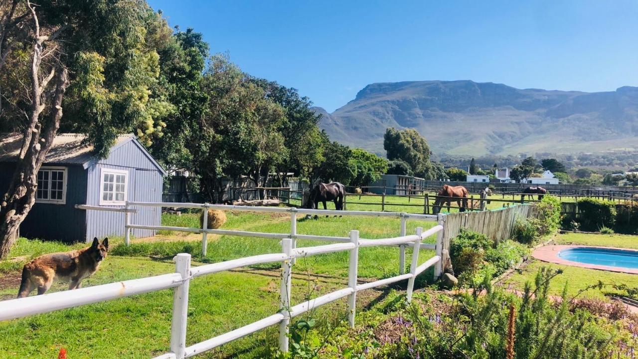 Holiday home The Lookout Noordhoek