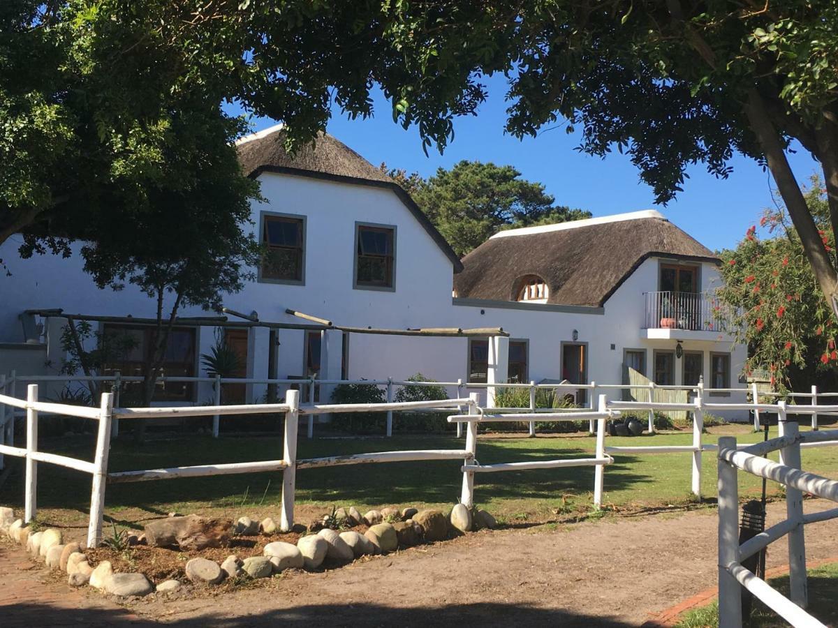The Lookout Noordhoek